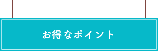 お得なポイント！